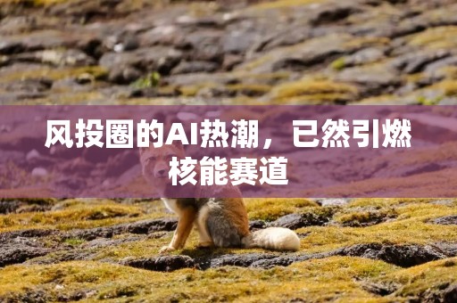 风投圈的AI热潮，已然引燃核能赛道