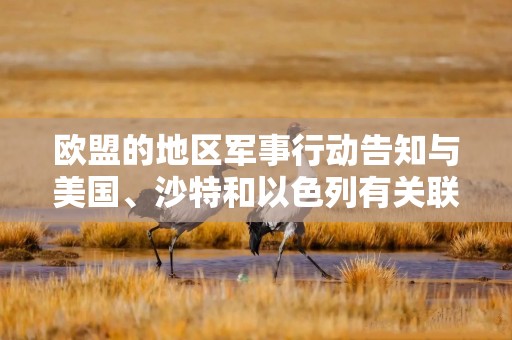 欧盟的地区军事行动告知与美国、沙特和以色列有关联的船只避开红海