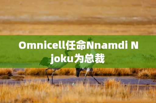 Omnicell任命Nnamdi Njoku为总裁