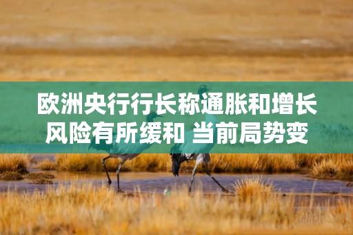 欧洲央行行长称通胀和增长风险有所缓和 当前局势变化非常迅速