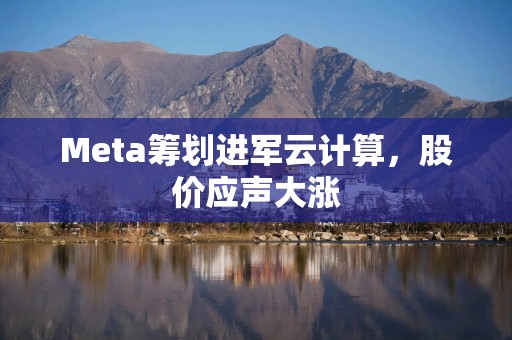 Meta筹划进军云计算，股价应声大涨