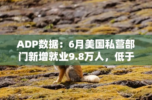 ADP数据：6月美国私营部门新增就业9.8万人，低于市场预期