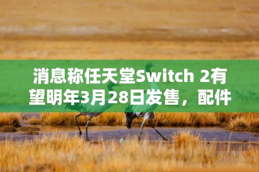 消息称任天堂Switch 2有望明年3月28日发售，配件同步上市