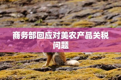 商务部回应对美农产品关税问题