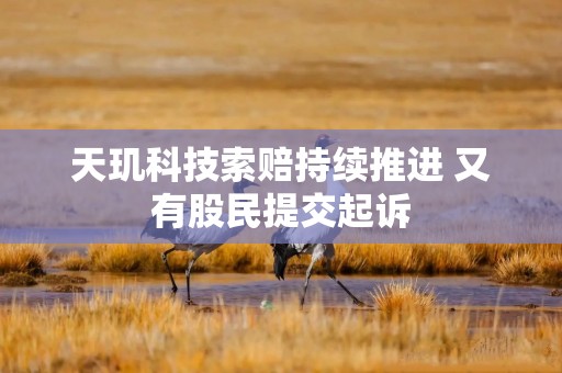 天玑科技索赔持续推进 又有股民提交起诉