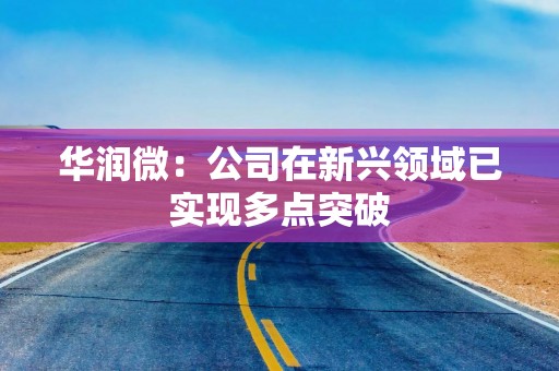 华润微：公司在新兴领域已实现多点突破