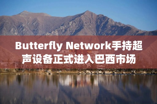 Butterfly Network手持超声设备正式进入巴西市场