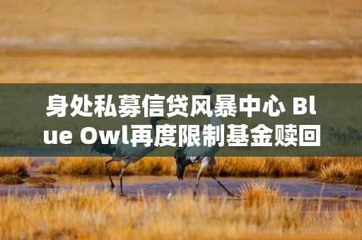 身处私募信贷风暴中心 Blue Owl再度限制基金赎回