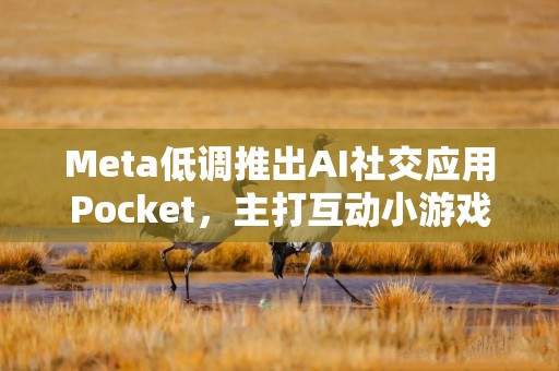 Meta低调推出AI社交应用Pocket，主打互动小游戏