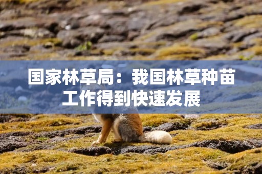 国家林草局：我国林草种苗工作得到快速发展