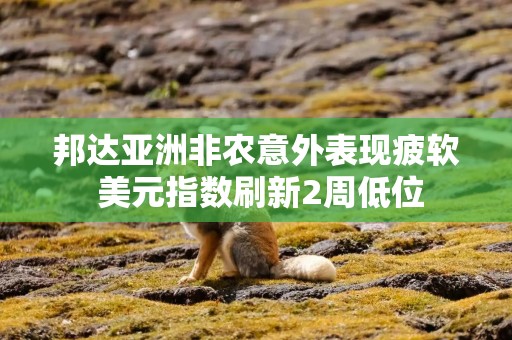 邦达亚洲非农意外表现疲软 美元指数刷新2周低位