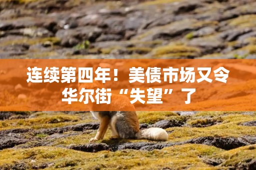 连续第四年！美债市场又令华尔街“失望”了
