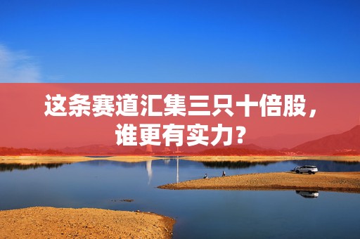 这条赛道汇集三只十倍股，谁更有实力？
