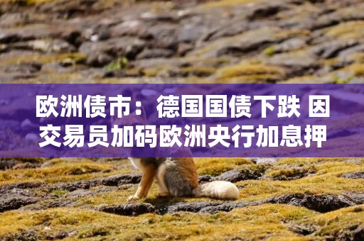 欧洲债市：德国国债下跌 因交易员加码欧洲央行加息押注