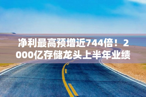 净利最高预增近744倍！2000亿存储龙头上半年业绩“炸裂”