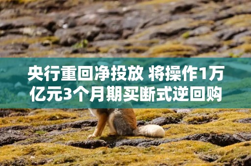 央行重回净投放 将操作1万亿元3个月期买断式逆回购