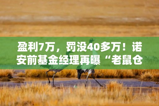 盈利7万，罚没40多万！诺安前基金经理再曝“老鼠仓”