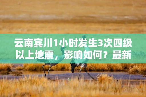 云南宾川1小时发生3次四级以上地震，影响如何？最新情况