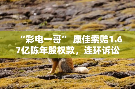 “彩电一哥” 康佳索赔1.67亿陈年股权款，连环诉讼波及ST达华