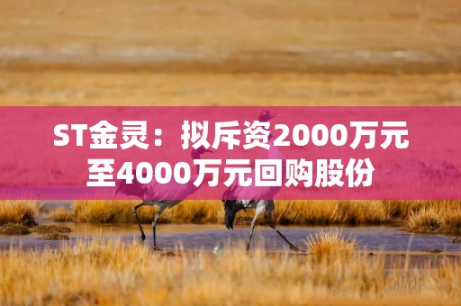 ST金灵：拟斥资2000万元至4000万元回购股份