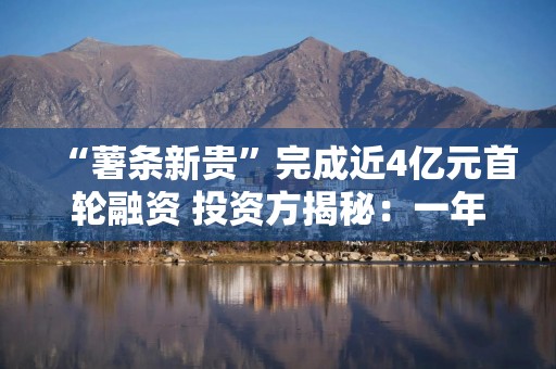 “薯条新贵”完成近4亿元首轮融资 投资方揭秘：一年吃掉50多万吨 这是消费类“超级大单品”