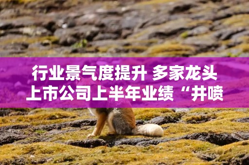 行业景气度提升 多家龙头上市公司上半年业绩“井喷”