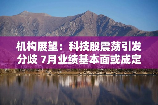 机构展望：科技股震荡引发分歧 7月业绩基本面或成定价关键