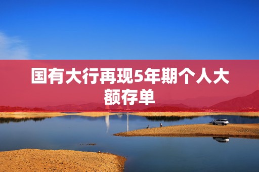 国有大行再现5年期个人大额存单