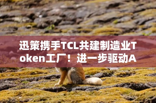 迅策携手TCL共建制造业Token工厂！进一步驱动ARR大幅增长