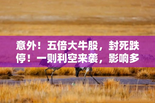 意外！五倍大牛股，封死跌停！一则利空来袭，影响多大？