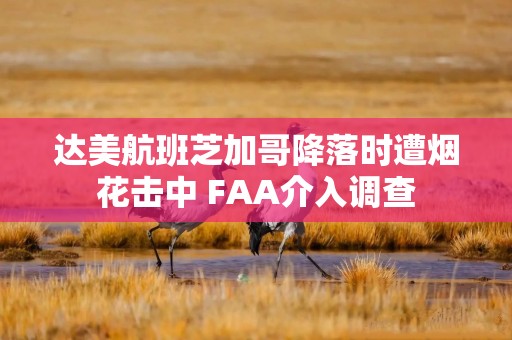 达美航班芝加哥降落时遭烟花击中 FAA介入调查