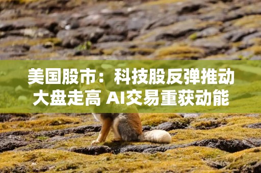 美国股市：科技股反弹推动大盘走高 AI交易重获动能