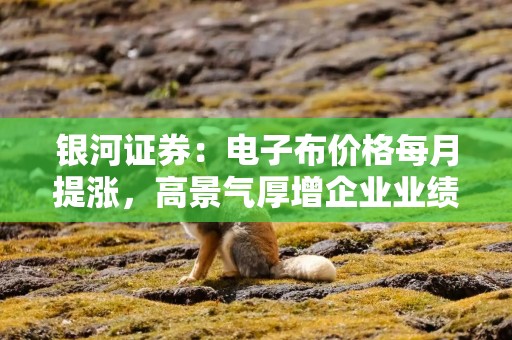 银河证券：电子布价格每月提涨，高景气厚增企业业绩