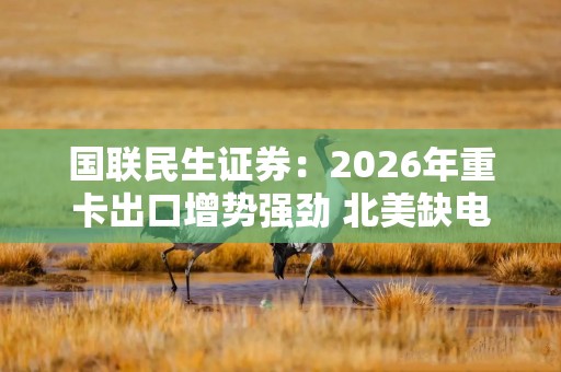 国联民生证券：2026年重卡出口增势强劲 北美缺电催生新机遇