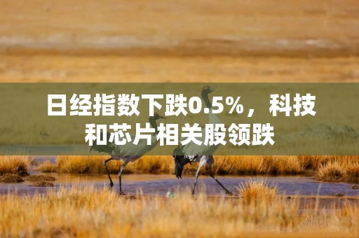 日经指数下跌0.5%，科技和芯片相关股领跌