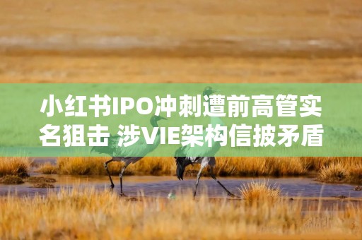 小红书IPO冲刺遭前高管实名狙击 涉VIE架构信披矛盾、劳工合规缺陷 上市进程或面临合规拷问