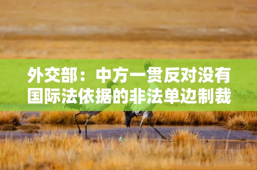 外交部：中方一贯反对没有国际法依据的非法单边制裁
