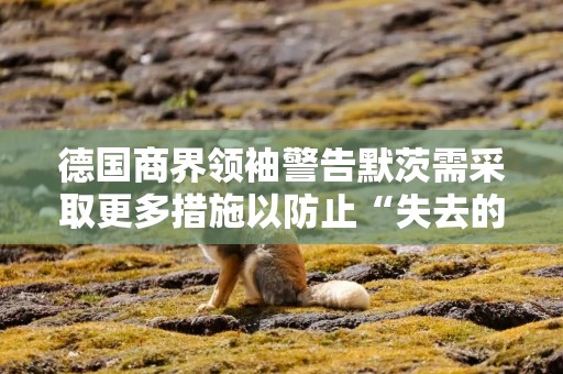 德国商界领袖警告默茨需采取更多措施以防止“失去的十年”