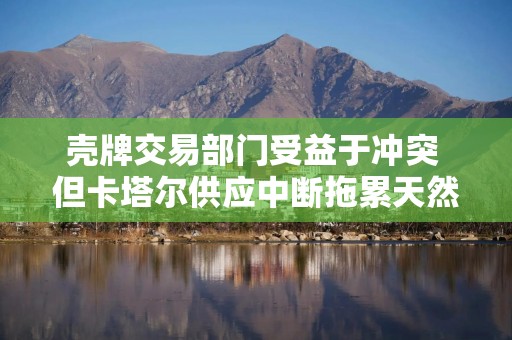 壳牌交易部门受益于冲突 但卡塔尔供应中断拖累天然气产量