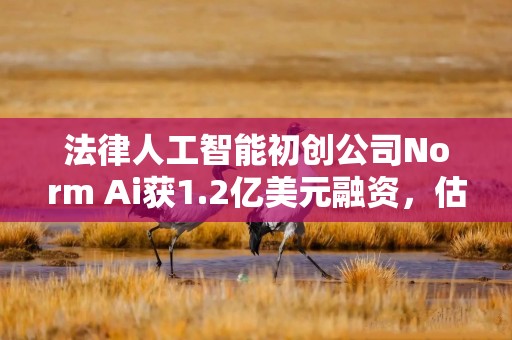 法律人工智能初创公司Norm Ai获1.2亿美元融资，估值12亿美元