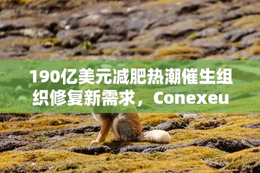 190亿美元减肥热潮催生组织修复新需求，Conexeu瞄准市场空白