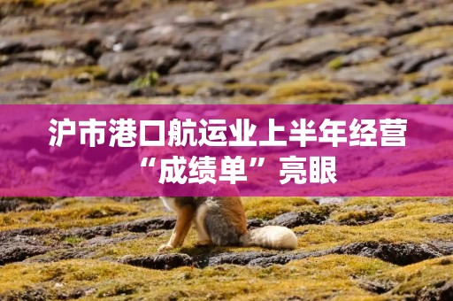 沪市港口航运业上半年经营“成绩单”亮眼