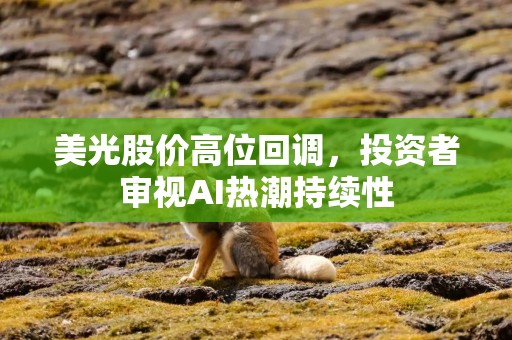 美光股价高位回调，投资者审视AI热潮持续性