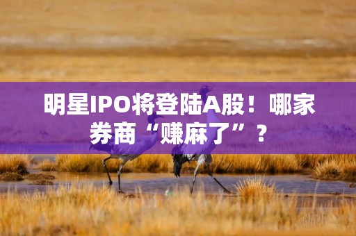 明星IPO将登陆A股！哪家券商“赚麻了”？