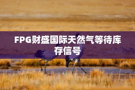 FPG财盛国际天然气等待库存信号