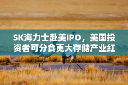 SK海力士赴美IPO，美国投资者可分食更大存储产业红利