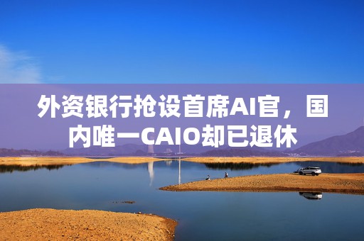 外资银行抢设首席AI官，国内唯一CAIO却已退休