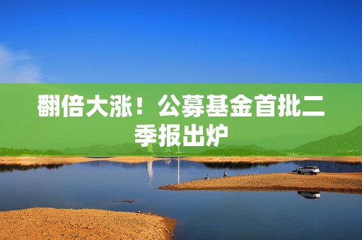 翻倍大涨！公募基金首批二季报出炉