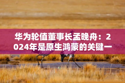华为轮值董事长孟晚舟：2024年是原生鸿蒙的关键一年，三折叠手机历经五年攻关