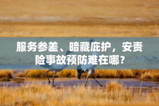 服务参差、暗藏庇护，安责险事故预防难在哪？